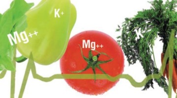 Продукты, в которых содержится магний и калий, необходимые для сердца и других систем организма