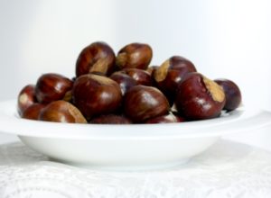 Каштан: польза и вред, как готовить, сохраняя полезные свойства ...