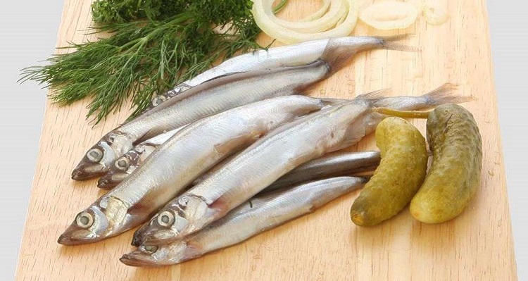 Мойва вред. Мойва норвегия. Мойва бореалис 700 гр. Мойва самка. Мойва полезная рыба.