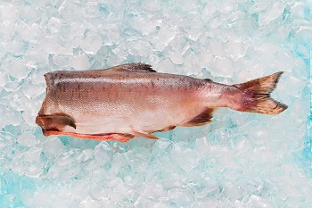 Замороженная рыбная тушка